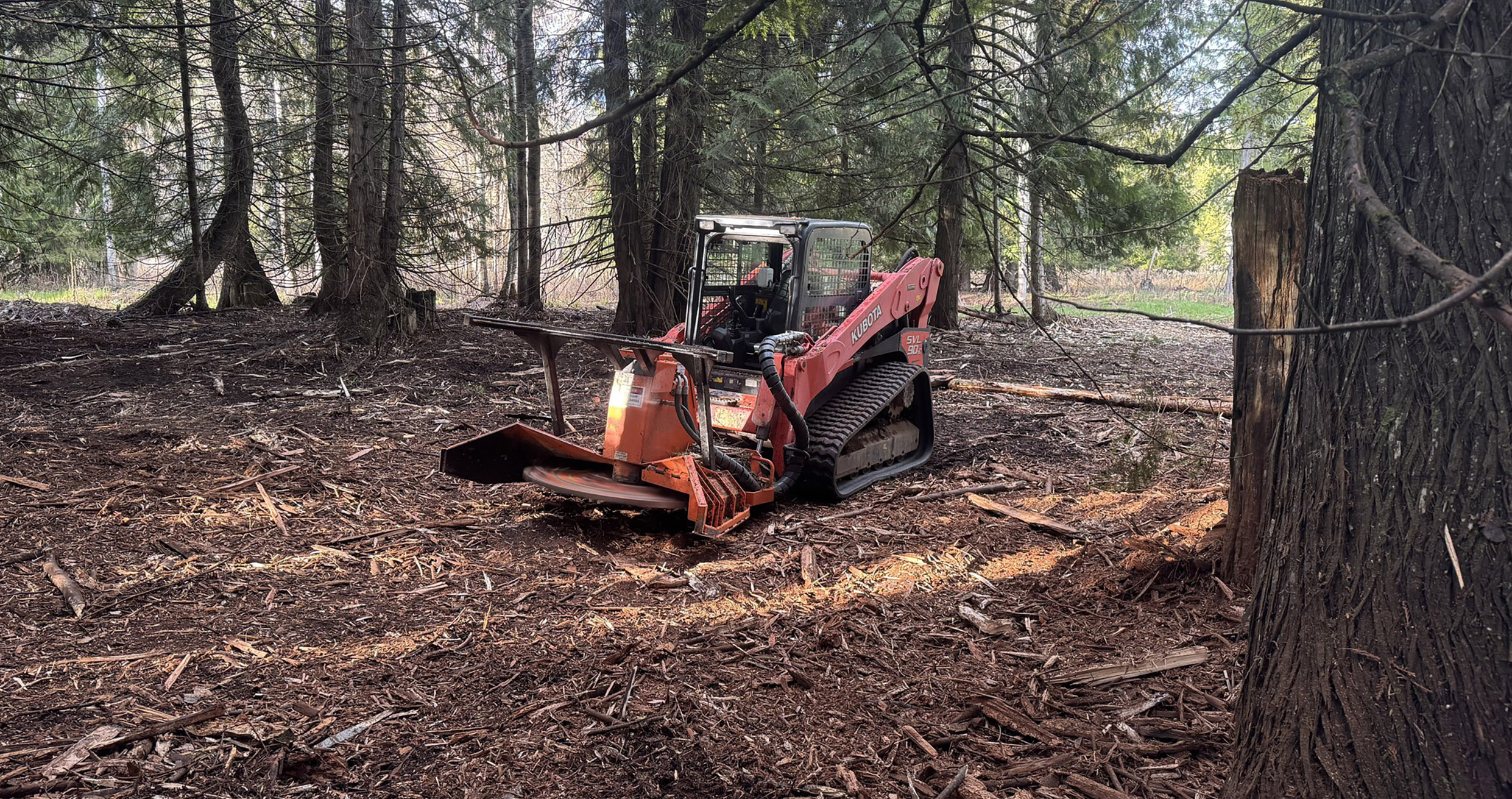 The Benefits of Forestry Mulching: A Comprehensive Guide