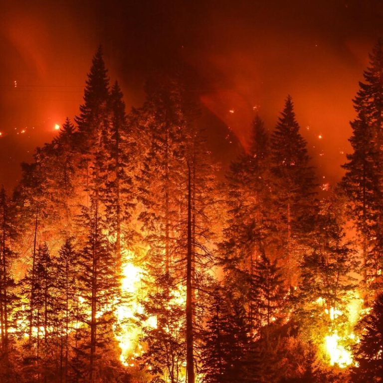 Eagle,Creek,Wildfire,In,Columbia,River,Gorge,,Or