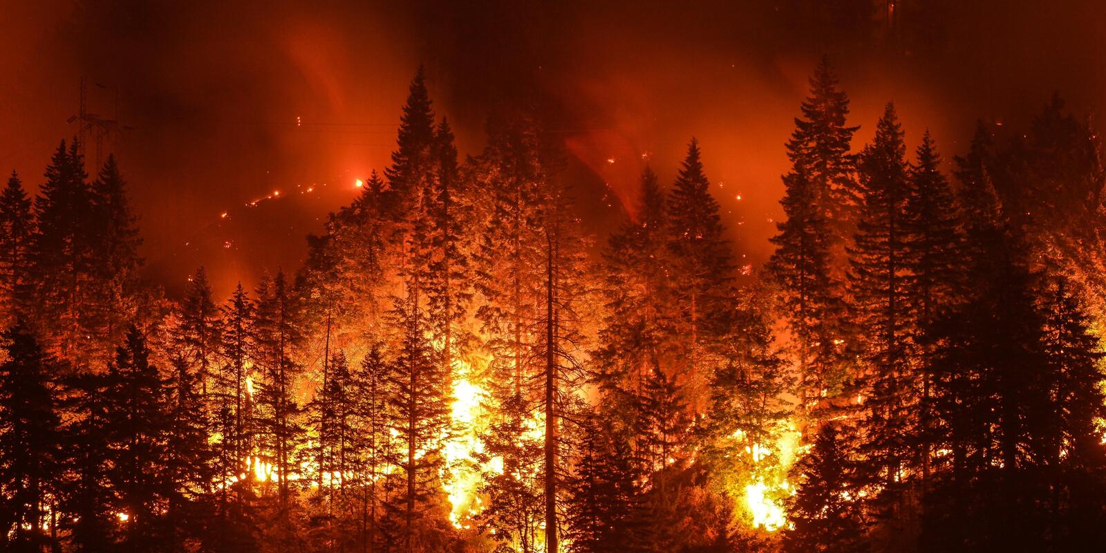 Effective Fire Control for Your Property: Tips and Best Practices