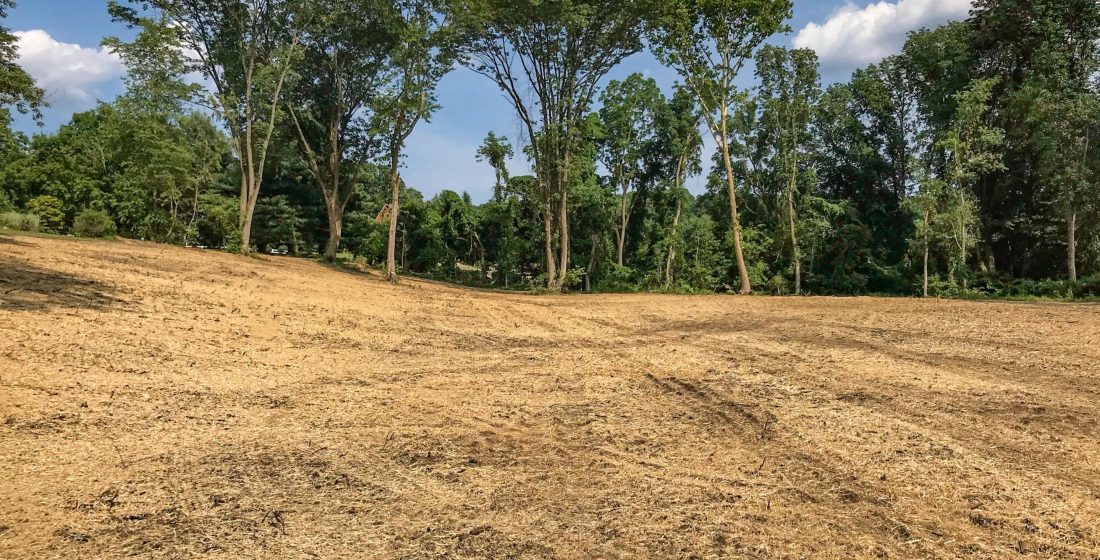 How to Properly Choose a Land Clearing Service