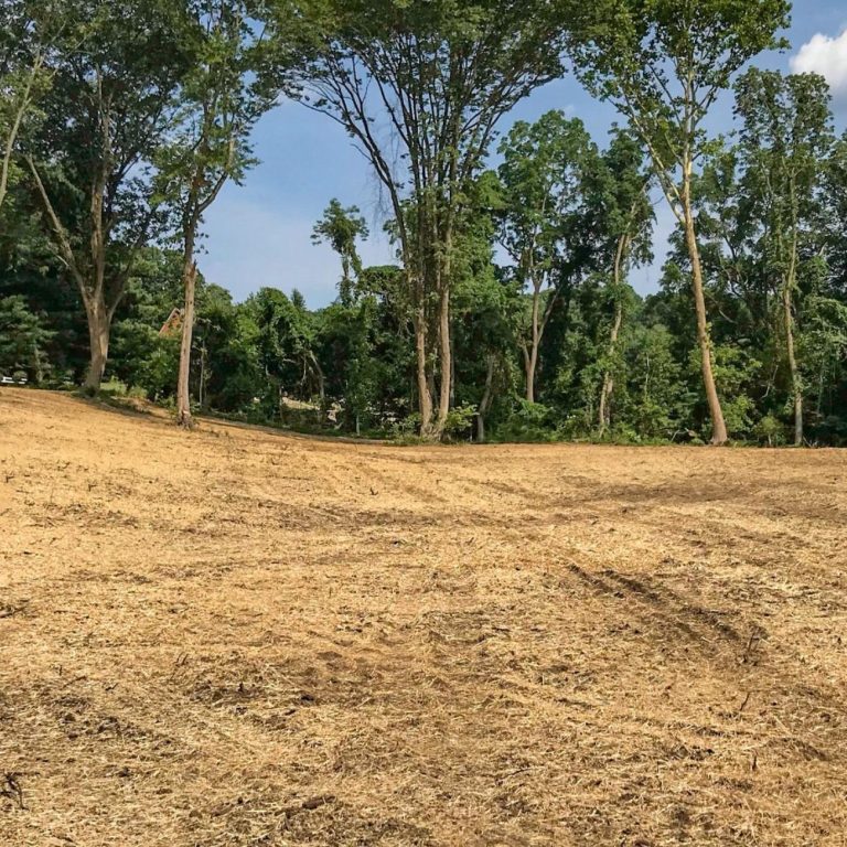 6245dffcecd0ed148ef5902c_tree-clearing-in-downingtown-pa
